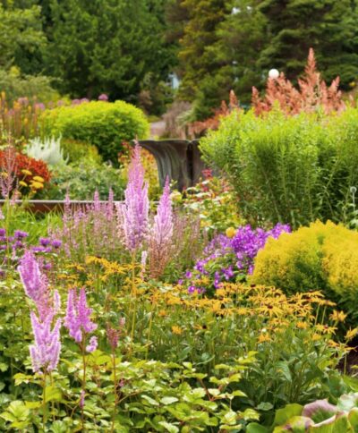 Non-pharmacological interventional therapies for residents with dementia